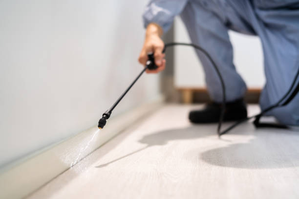 Licensed Pest Control service in Castle Rock, WA - Show Me Pest Control
